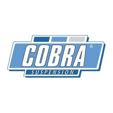 Suspensión Roscada Cobra EVO I Peugeot 206 (SF560401)